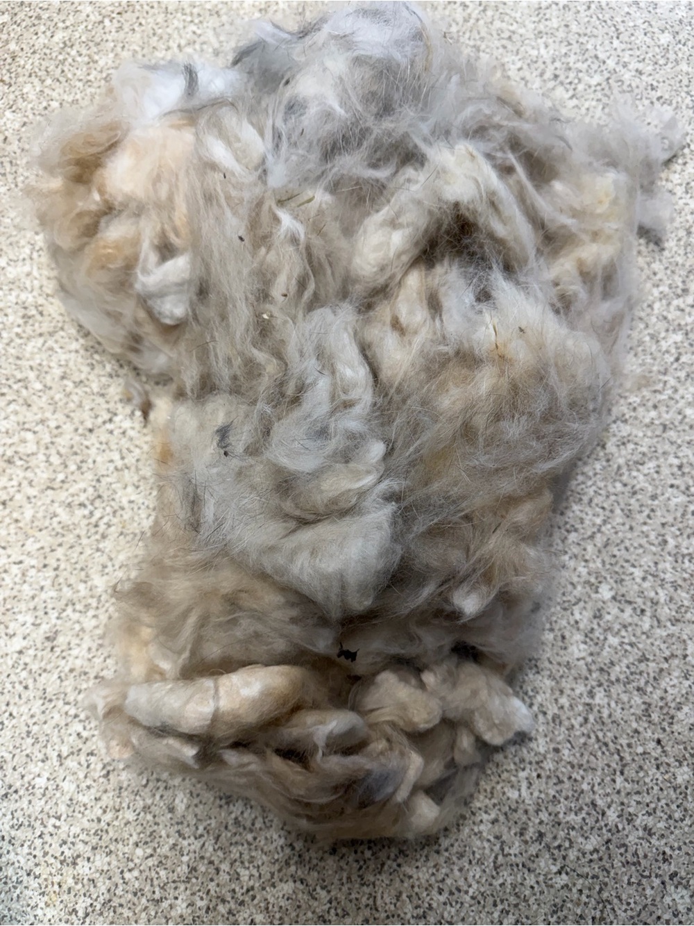 Rabbit CRAFT Angora Fiber — Matted, Uncleaned - Gallon Bag